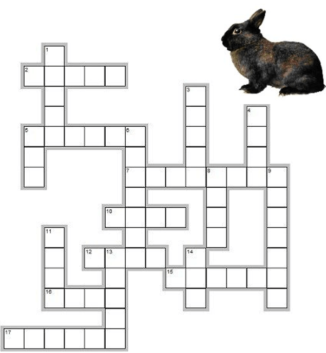 Framework Puzzles on Animal Crossword Puzzles   Printable Animal Crossword Puzzles 1