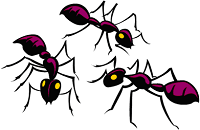 ants