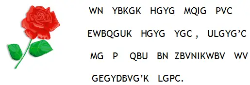 cryptogram puzzle and rose