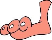Large foot and ankle
