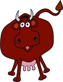 happy cow