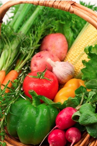basket of fresh vegetables