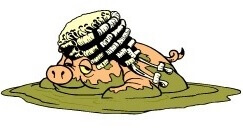 Pig in a wig, looking up from a big pile of mud