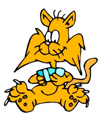 cat playing cards