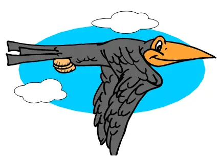 bird flying in the sky