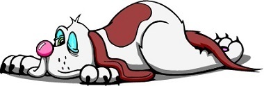 sleeping dog