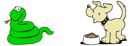 smiling snake and a puppy wagging its tail