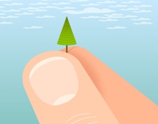 tiny tree being held in a hand