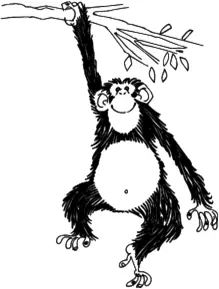 monkey hanging from a tree